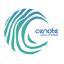 Cenote Solutions's avatar