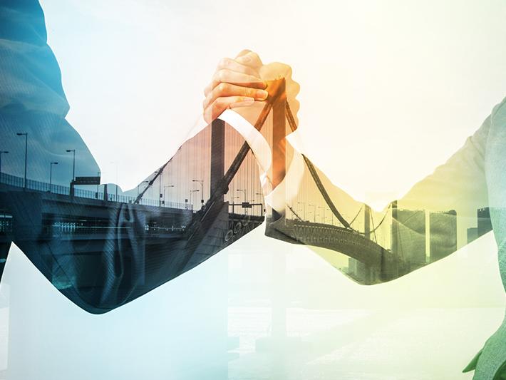 Bridge concept