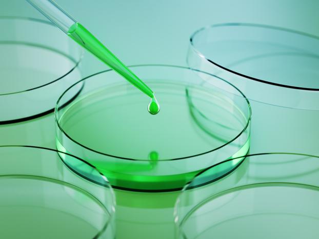 A green liquid is dispensed into a petri dish