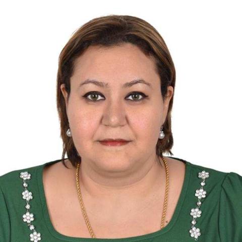 Dina Nasr