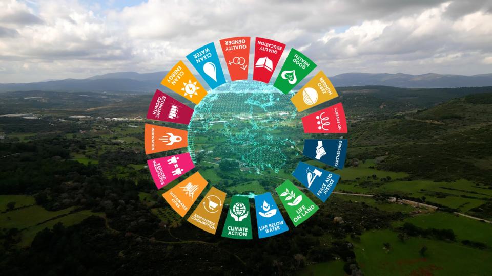 Image of a globe surrounded by the 17 SDG symbols