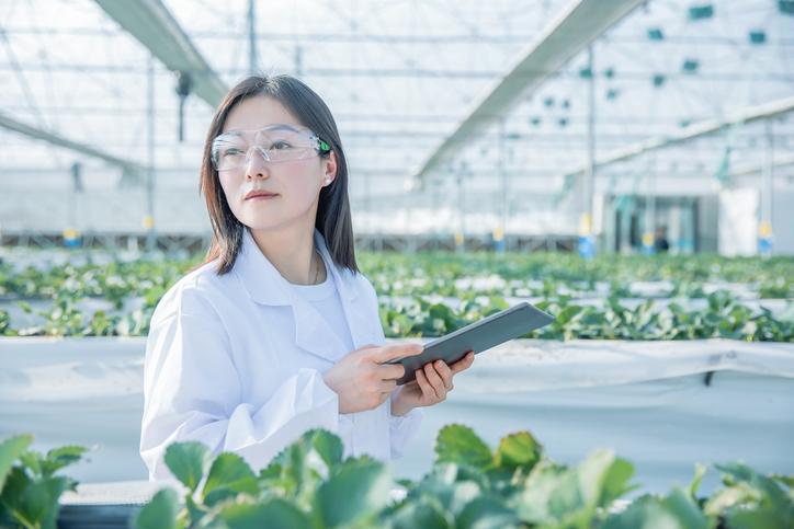 A scientist stands in a greenhouse with a tablet
