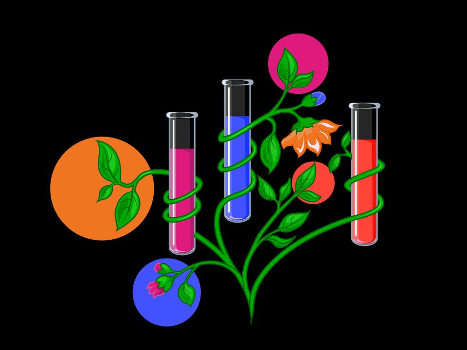 Greener lab practices for higher education